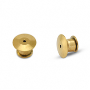 Roestvrij stalen (RVS) stainless steel onderdelen veiligheidssluiting voor pins Gold