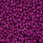 Glaskralen Rocailles 8/0 (3mm) Purple