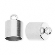 Roestvrij stalen (RVS) Stainless steel onderdelen eindkap Ø8mm met oog Silver