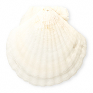 Schelp hangers specials Sint Jacobsschelp White