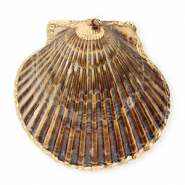 Schelp hangers specials Sint Jacobsschelp Dark brown-gold
