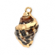 Schelp hangers specials wulk Brown-gold