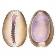 Schelp hangers specials kauri Purple-brown