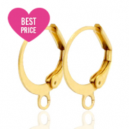 Roestvrij stalen (RVS) stainless steel sluitbare oorhangers met oog Goud
