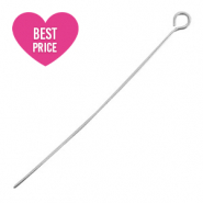 Roestvrij stalen (RVS) Stainless steel onderdelen kettelstift 50mm Zilver