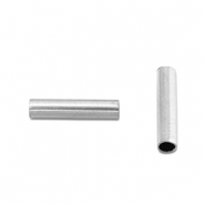 Roestvrij stalen (RVS) Stainless steel kralen tube 8mm Silver