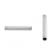 Roestvrij stalen (RVS) Stainless steel kralen tube 9mm Silver