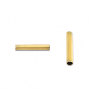 Roestvrij stalen (RVS) Stainless steel kralen tube 5mm Gold