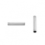 Roestvrij stalen (RVS) Stainless steel kralen tube 5mm Silver