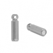 Roestvrij stalen (RVS) Stainless steel onderdelen eindkap voor broches / pins Silver