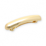 Haaraccessoires haarspeld Gold