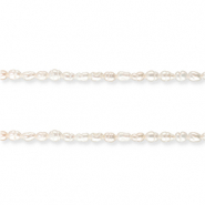 Zoetwaterparels rice Natural white